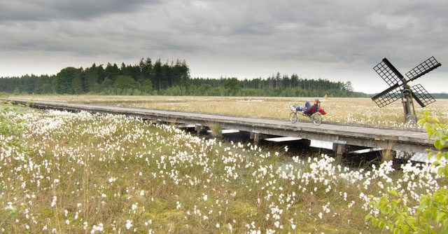 A wooden bridge takes you across the marshes of the Grolloërveen. Photo © Holland-Cycling.com