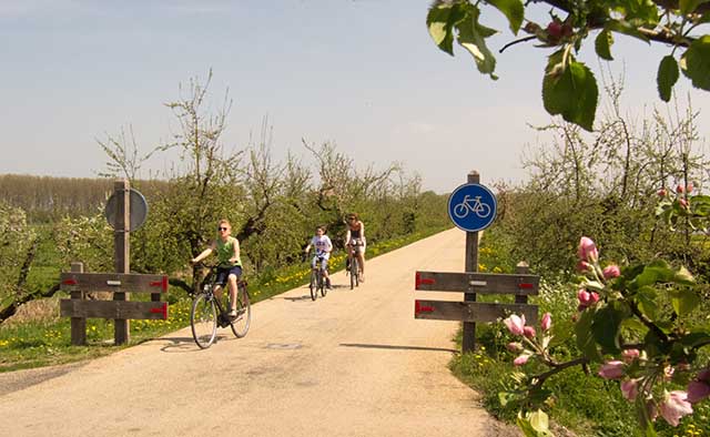 Blossom along the Appeldijk. Photo © Holland-Cycling.com